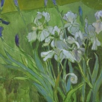 2014–08–Sub-Rosa-White-and-blue